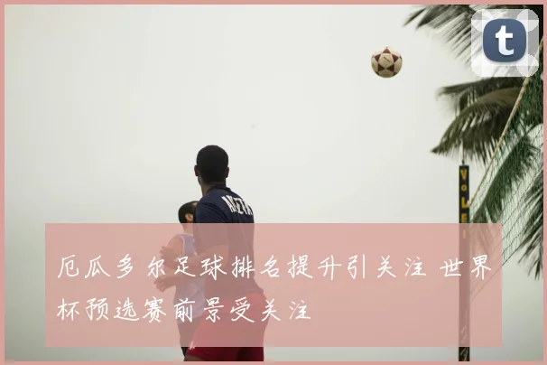 厄瓜多尔足球排名提升引关注 世界杯预选赛前景受关注