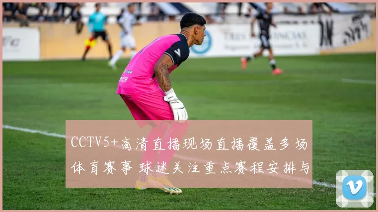 CCTV5+高清直播现场直播覆盖多场体育赛事 球迷关注重点赛程安排与观赛看点