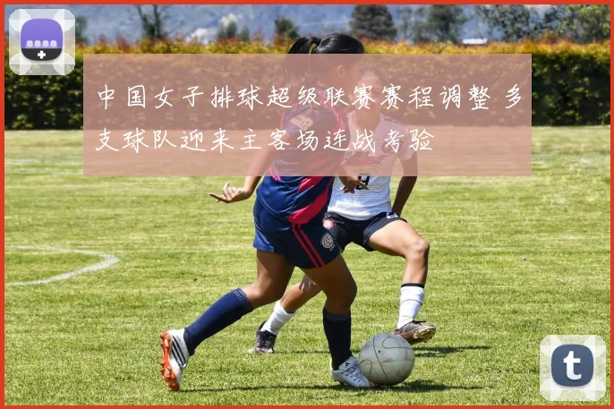 中国女子排球超级联赛赛程调整 多支球队迎来主客场连战考验
