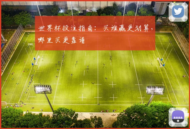 世界杯投注指南:买谁赢更划算,哪里买更靠谱