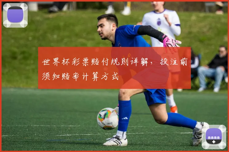 世界杯彩票赔付规则详解,投注前须知赔率计算方式