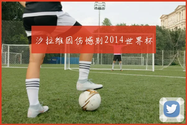 沙拉维因伤憾别2014世界杯