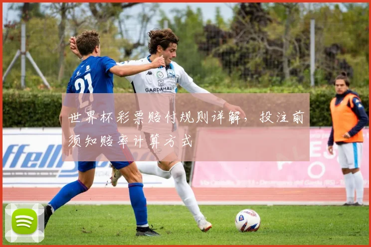世界杯彩票赔付规则详解，投注前须知赔率计算方式