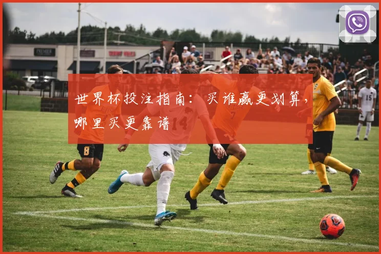 世界杯投注指南：买谁赢更划算，哪里买更靠谱