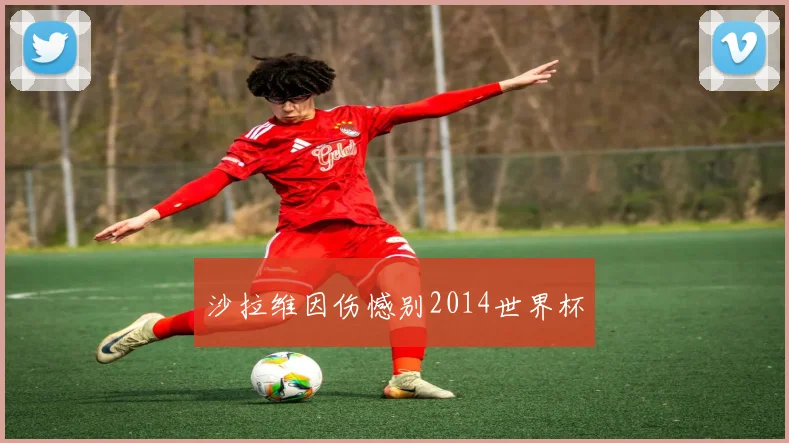 沙拉维因伤憾别2014世界杯