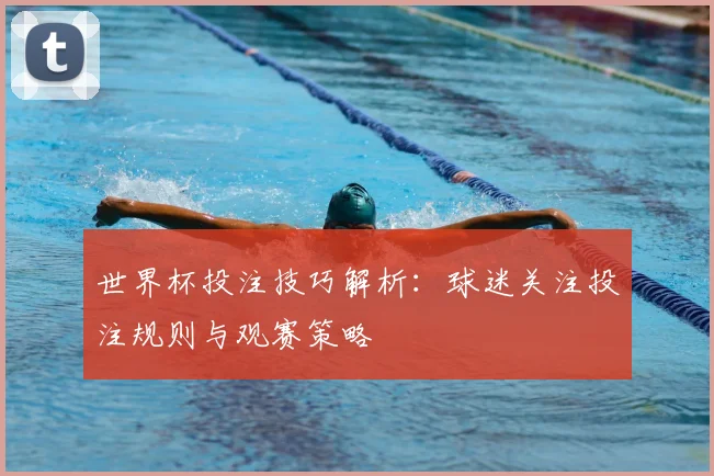 世界杯投注技巧解析：球迷关注投注规则与观赛策略
